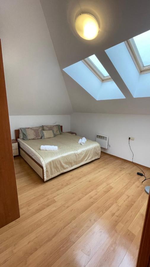 Two Bedroom Flat In Magernitsa Μπάνσκο Εξωτερικό φωτογραφία
